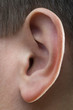 Childs Ear Childs Ear