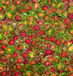 sweet fruits Rambutan similar to Lychee