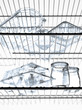 Empty glass containers in the refrigerator