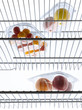 Vegetables and fruit in the refrigerator