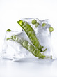 Peas in ice