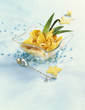 Pan-fried caramelized exotic fruits with rum and vanilla sauce