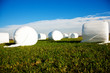 Silageballen auf der Wiese 717