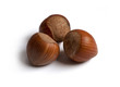 Hazelnuts