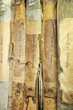 archive et document