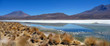 Lagune bolivienne