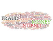 Online Internet Fraud word cloud on white background