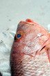 Fish in market