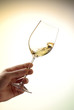 glass of white wine holding by a hand