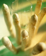 glass of white wine with asparagus, green yellow ambiance