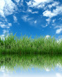 Photo: green grass with blue sky reflection green grass with blue sky reflection