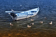 white boat