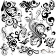 floral design elements