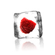 Himbeere im Eisblock