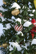 Christmas tree.