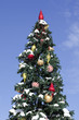 Christmas tree.