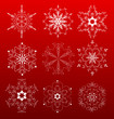 nine white snowflakes