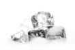 Eiswürfel Eiswürfel