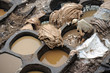 Tanner in Chouwara tannery, Fes