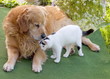 Photo: Friends Friends