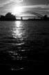 Opera house and bridge silouette portrait