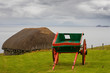 Isle of Skye: museum with old huts and carts in nature near the