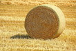 Rouleau de paille