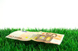 50 Euro