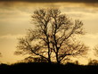 coucher soleil