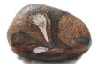 puledro