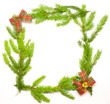 Green fresh spruce frame with decoration isolated on white
