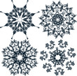 Floral snowflakes, set, element for design, vector Floral snowflakes, set, element for design, vector