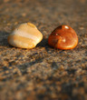 Two stones
