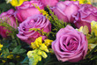 RAMO DE FLORES. ROSALES, ROSA, MORADO, LILA, AMARILLO