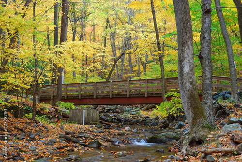 Photo: Autumn wood bridge Autumn wood bridge