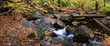 Autumn creek