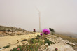 Energia & Natura