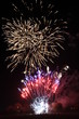 Firework flowers display