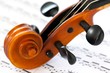 violin: scroll and pegbox