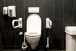 toilet disabled