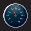 speedo on black
