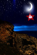 Christmas shining moon
