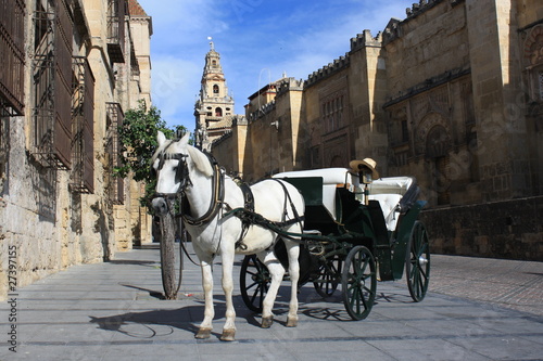 Photo: horse-drawn barouche in front of Mezquite in Cordoba horse-drawn barouche in front of Mezquite in Cordoba