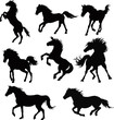 Horse silhouettes