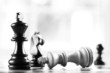 checkmate black defeats white king