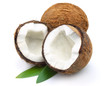 Coconut with leaves