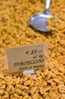 close up tortellini close up tortellini