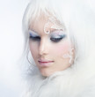Beautiful Girl's Face.Creative Winter Make-up