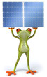 Grenouille et panneaux solaires