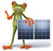Grenouille et panneaux solaires